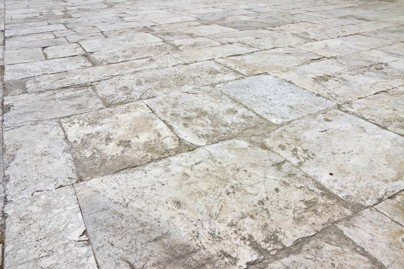 Frost-Resistant Stone Paving